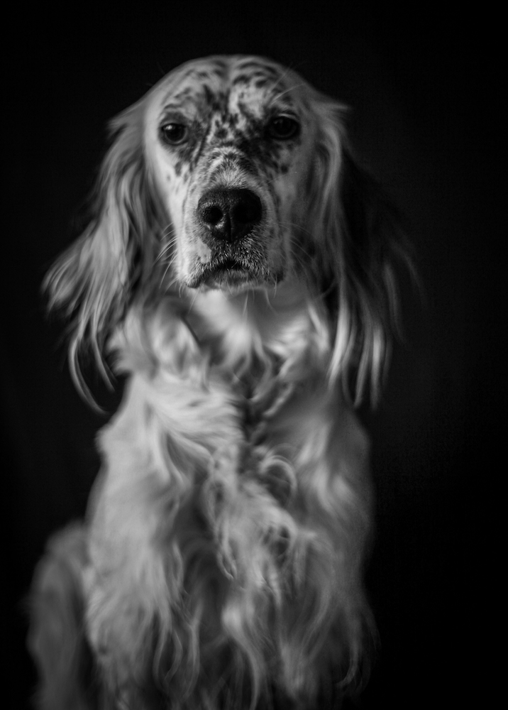 Lola pour Animus AnimA-L © Öznur Baycan, 2021