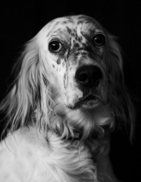 Lola pour Animus AnimA-L © Öznur Baycan, 2021